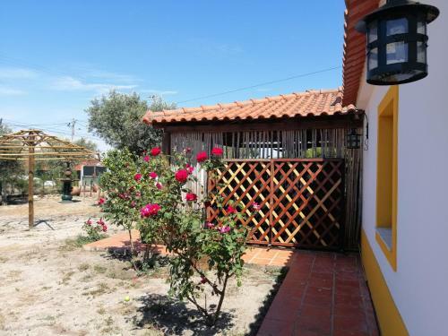 Casa Do Po�o Velho