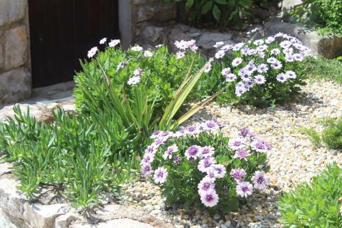 Villa Calma, Recharge Your Body And Mind