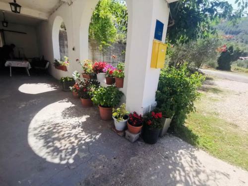 Apartmani Green Oasis
