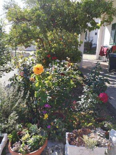 Hostal Apartman Mare