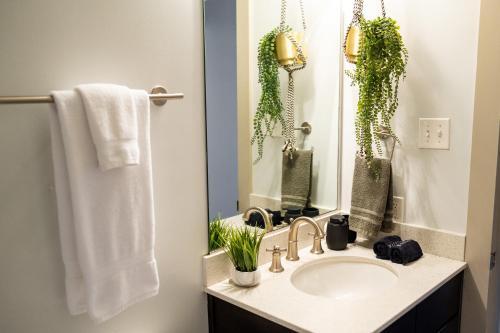 Apartamento French Quarter Delight 1