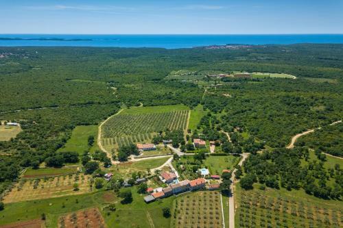 Villa Paulina -an Authentic Sense Of Istrian Life