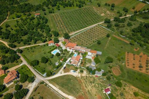 Villa Paulina -an Authentic Sense Of Istrian Life
