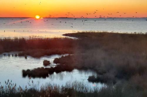 Round House -- Panoramic Views -- Chesapeake Bay