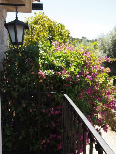 Agroturismo Casa Das Magn�lias De Igarei