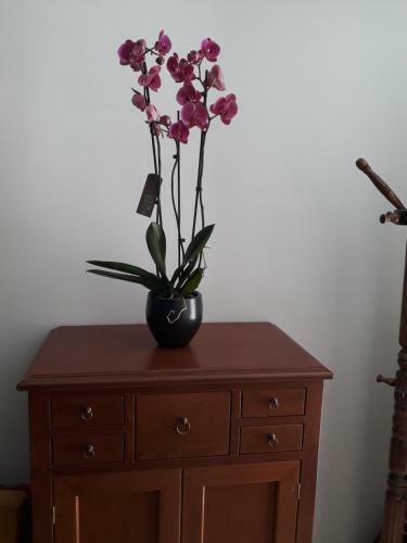 Apartamento Syros Moments