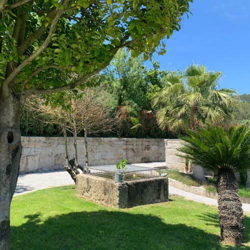Apartamento Quinta De Santa Ana, Em Vizela