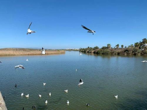 Apartamento Salgados Beach And Relax