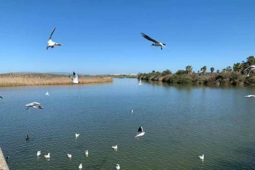 Apartamento Salgados Beach And Relax