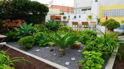 Casa Tr�s Picos
