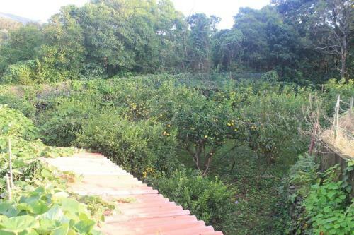 Apartamento Quinta Do Areeiro