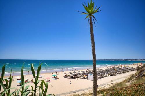 Apartamento Jardins Da Guia Penthouse Free Wifi