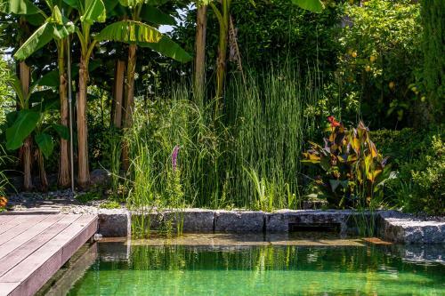 Gondomar - Moradia V3 Com Piscina - Guimar�es