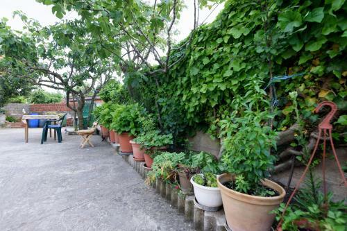 Apartman Lastavica
