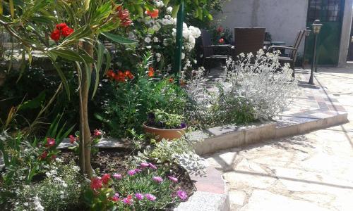 Apartments"nika" With Private Pool