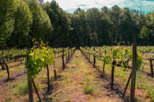 Agroturismo Quinta De Requeixo