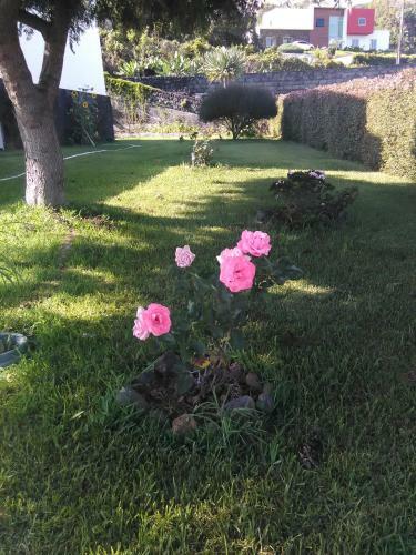 Bed & Breakfast Casa Da Ribeira