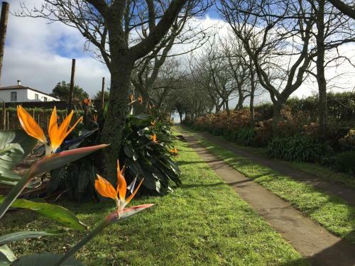 Apartamento Azores Protea House