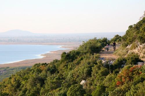 Apartamento "carpe Summer"