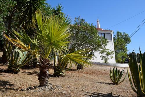 Algarve Booking