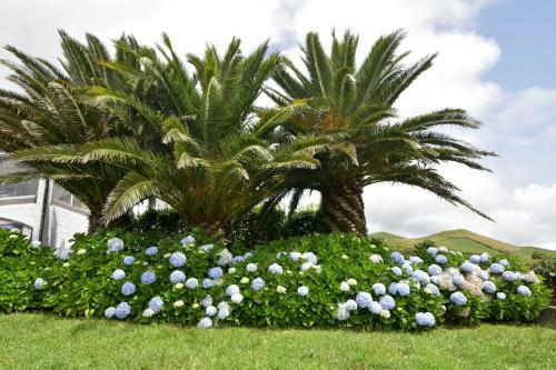 Villa Flor Do Monte