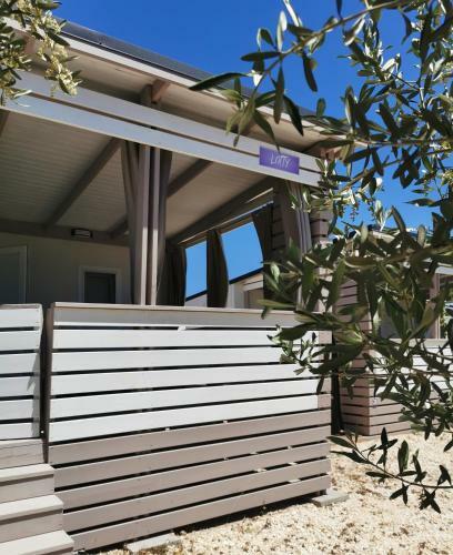 Mobile Home Lotty