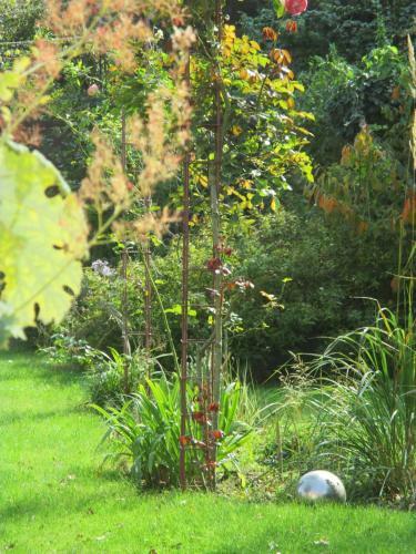 Bed & Breakfast Le Clos De L'abbaye