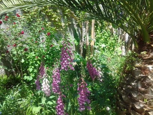 Bed & Breakfast Chambres D'h�tes Aroha