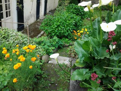 Bed & Breakfast Chambres D'h�tes Aroha