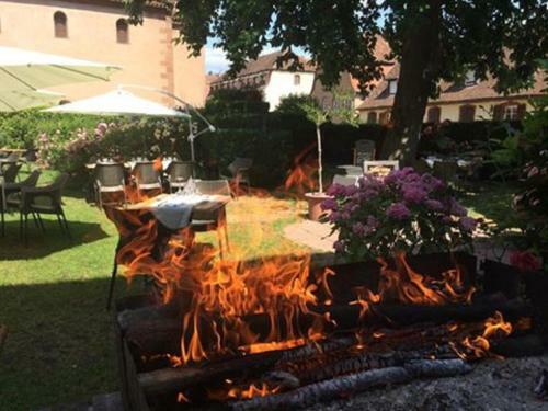 Hotel H�tel Du Herrenstein