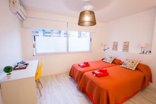Amazing Studio Apartment