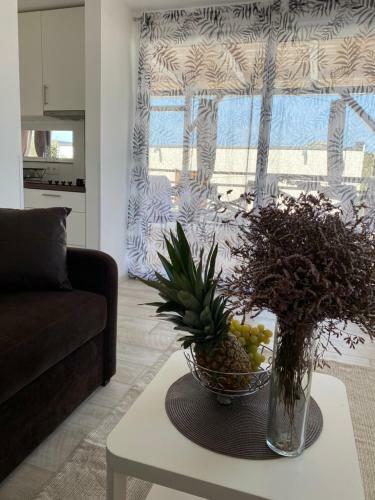 Apartamento Kayo Mobile Homes
