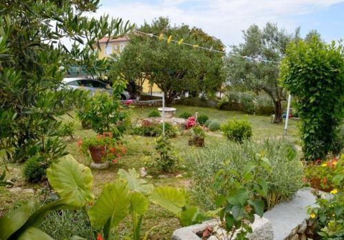 Apartmani Rossa