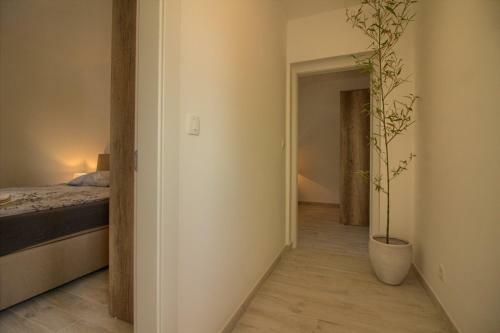 Villa Vila Irma
