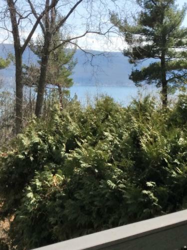 Leyla's Lakehouse