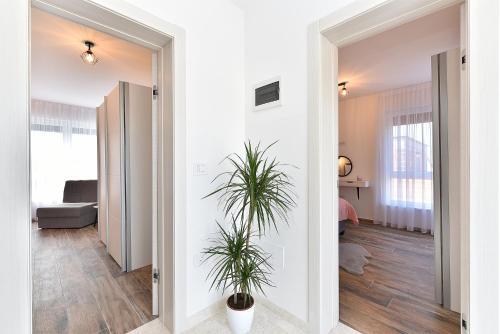 Villa Galizana 2111