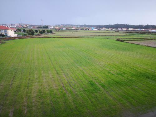Apartamento Farol Nascente