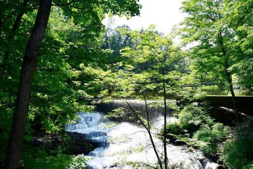 Cottage At Millpond Falls - A Romantic Escape