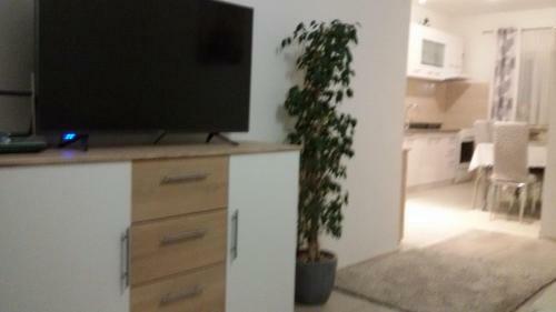 Apartment Biskupovic