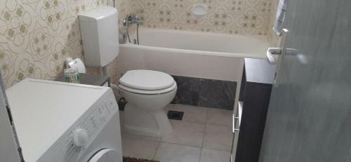 Apartment Biskupovic