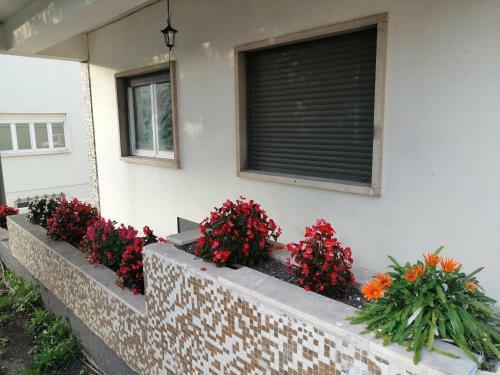 Bed & Breakfast Plena Vita Residence