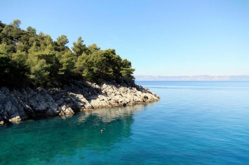 Seaside Secluded Apartments Cove Pobij, Hvar - 5633