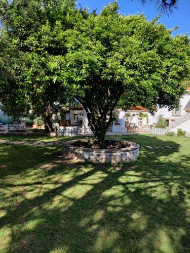 Hostal Casa Da Estrela
