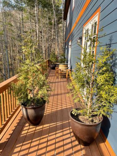 Apartamento Asheville Cottage
