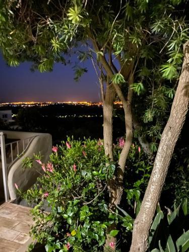Bed & Breakfast Felicidade
