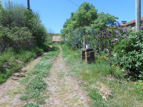 Hostal Chambre D'h�tes Et G�te Des Monts