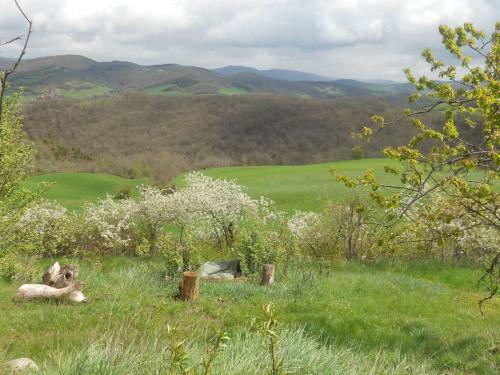 Hostal Chambre D'h�tes Et G�te Des Monts