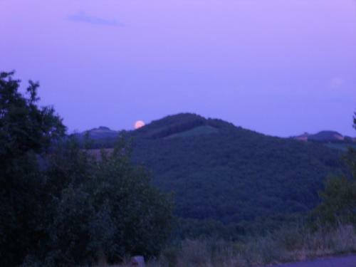 Hostal Chambre D'h�tes Et G�te Des Monts