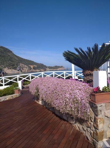 Bed & Breakfast Le Poste Di Simplicio