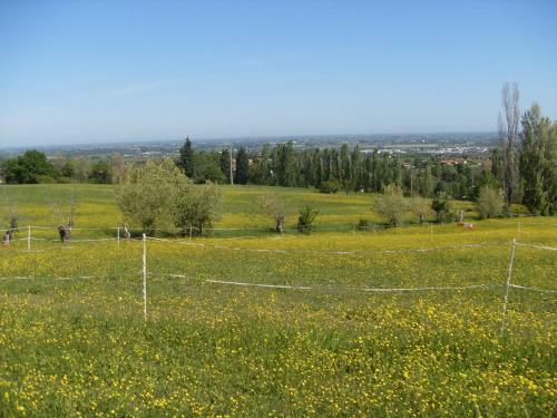 Agroturismo Agriturismo Montevecchio Isolani